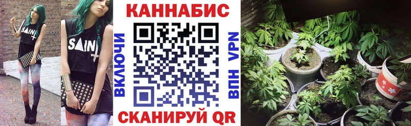 Где купить Снежногорск А ПВП  Меф мяу мяу  Каннабис 