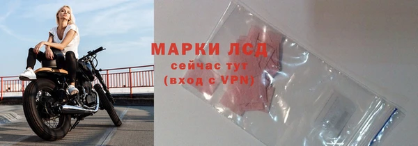 спиды Михайлов
