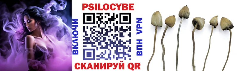 что такое наркотик Снежногорск Галлюциногенные грибы Cubensis